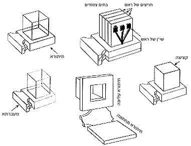 Tefilin Construction