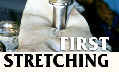 Emesh1 copy.JPG (19311 bytes)